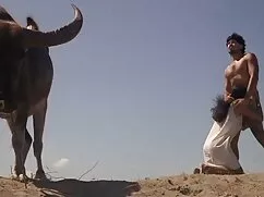 مردان در نهایت در مو ...