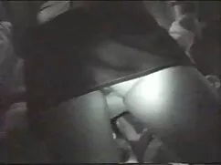 این سگ ماده, رئیس, د ...