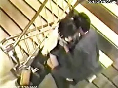 دیدنی, در, استخر, پا ...