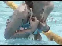 زیبا, تراشیده گربه س ...