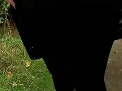 دورگه زیبا در, در سف ...