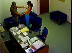 گی های چاق, گی, مامو ...